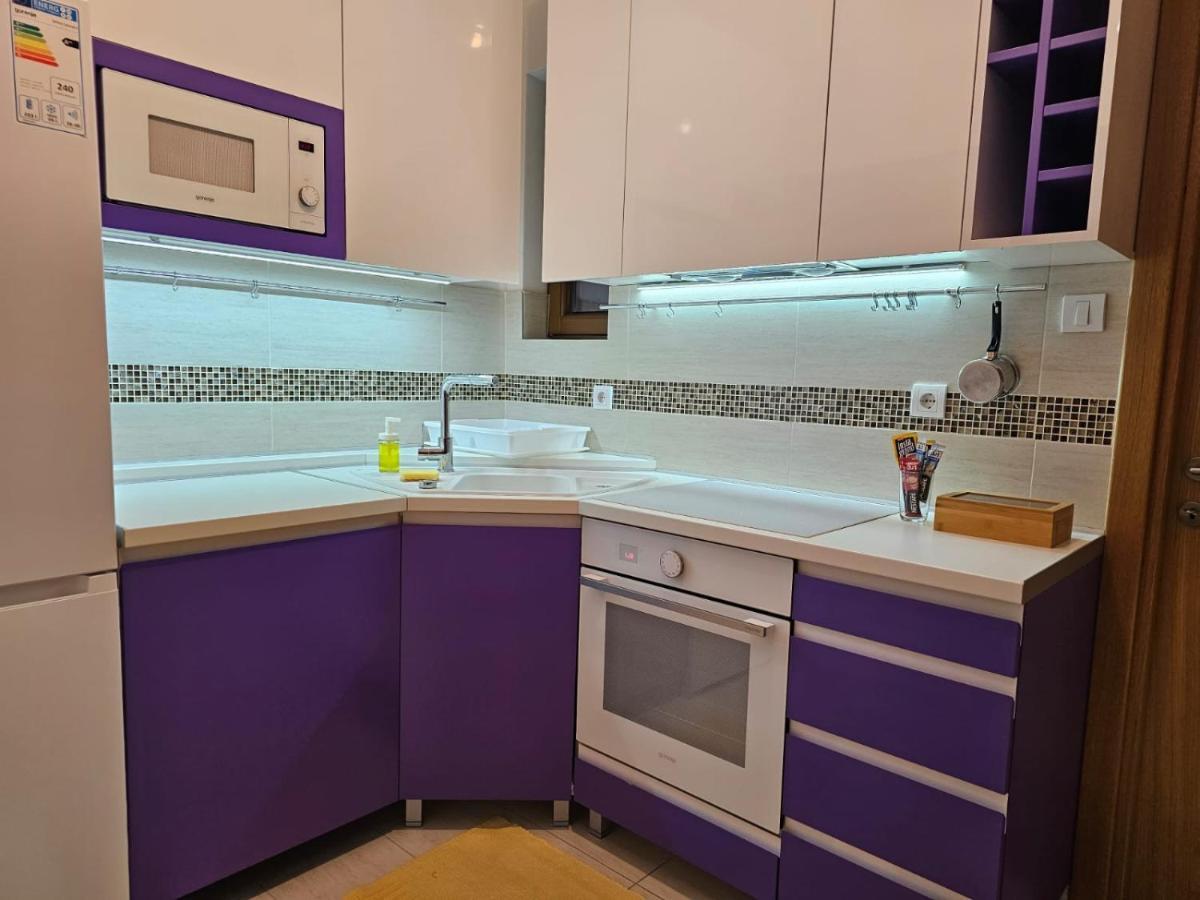 Bright Side Apartment نوفي ساد المظهر الخارجي الصورة